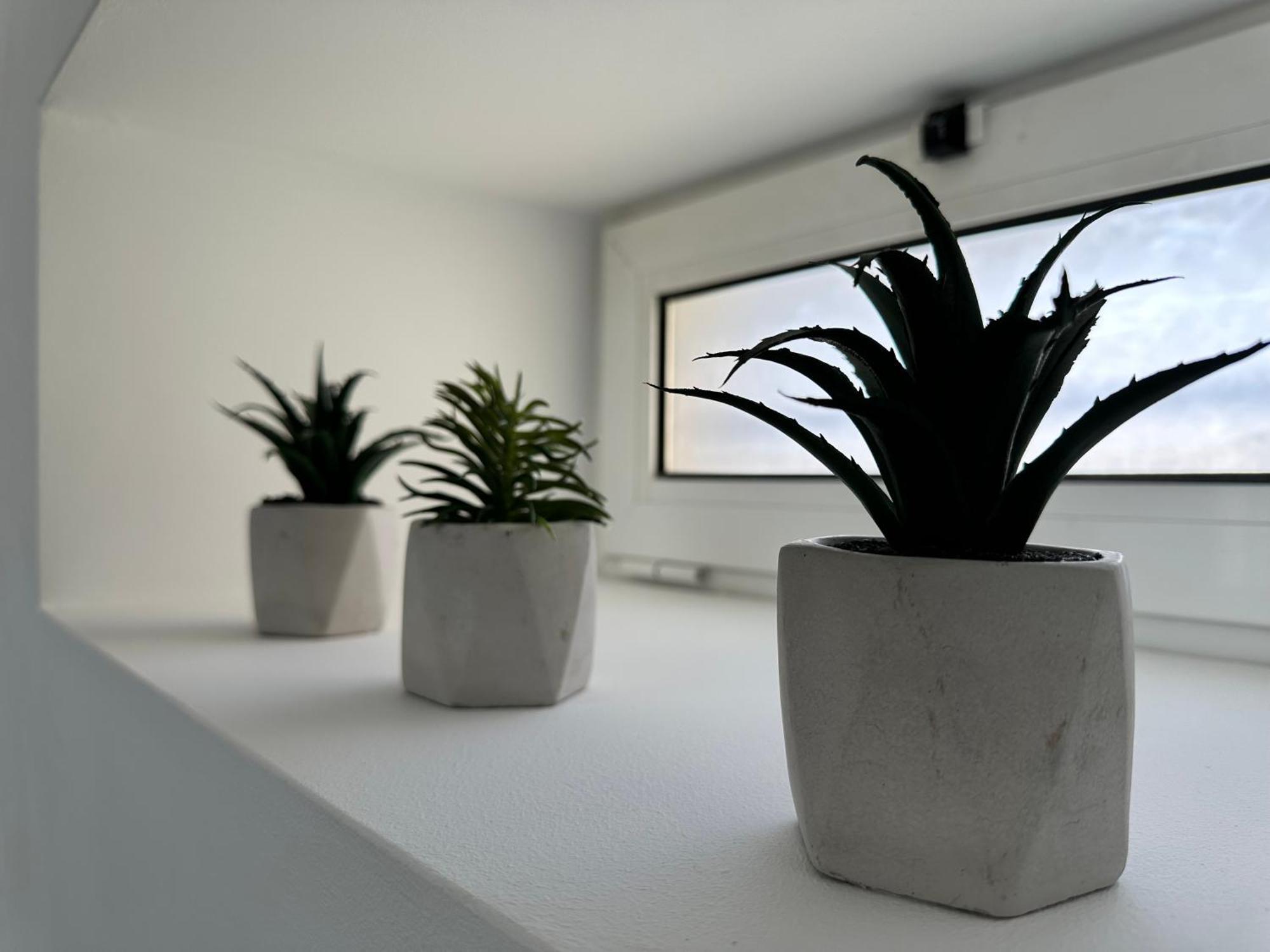 Ferreira House Appartement Seia Buitenkant foto
